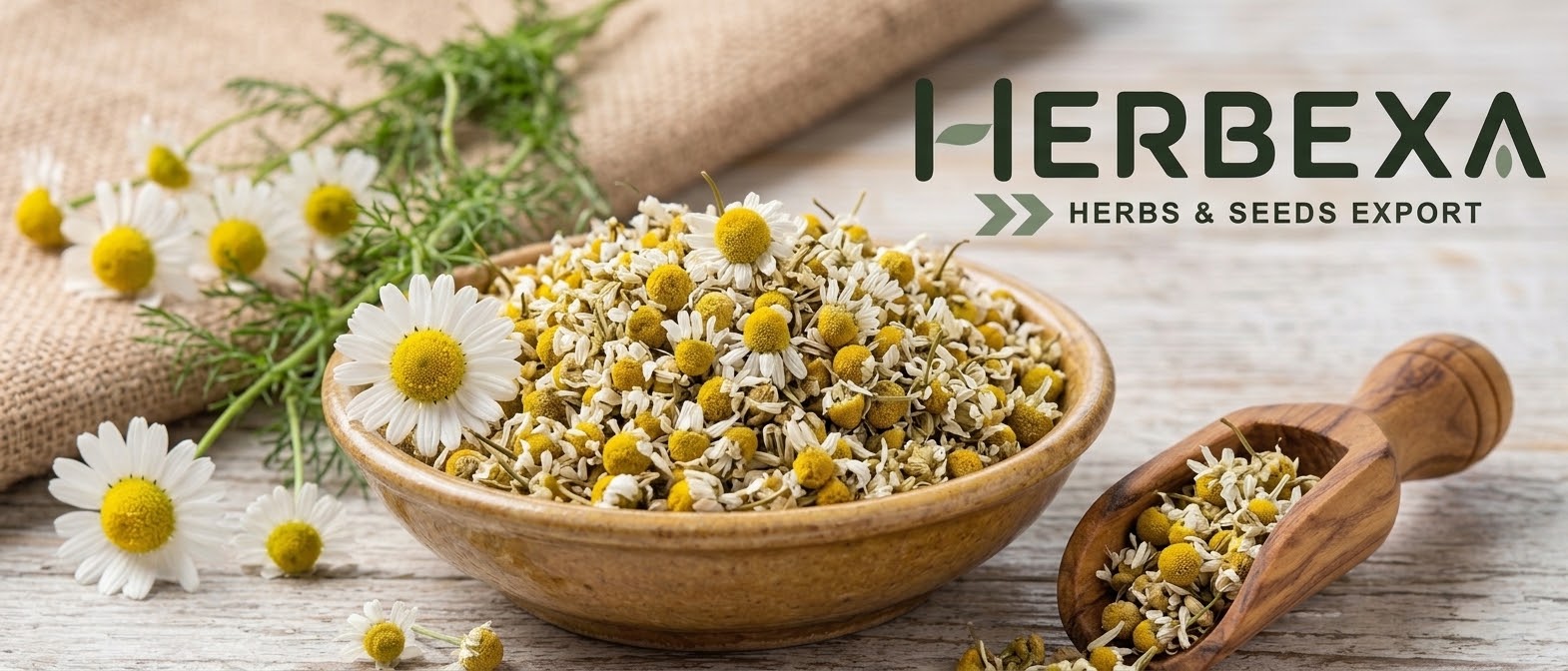 Chamomile