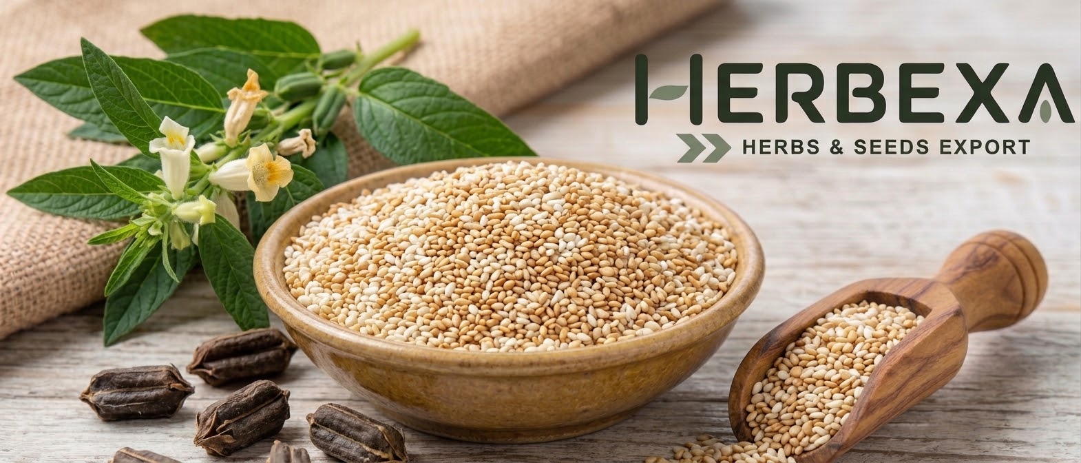 Sesame