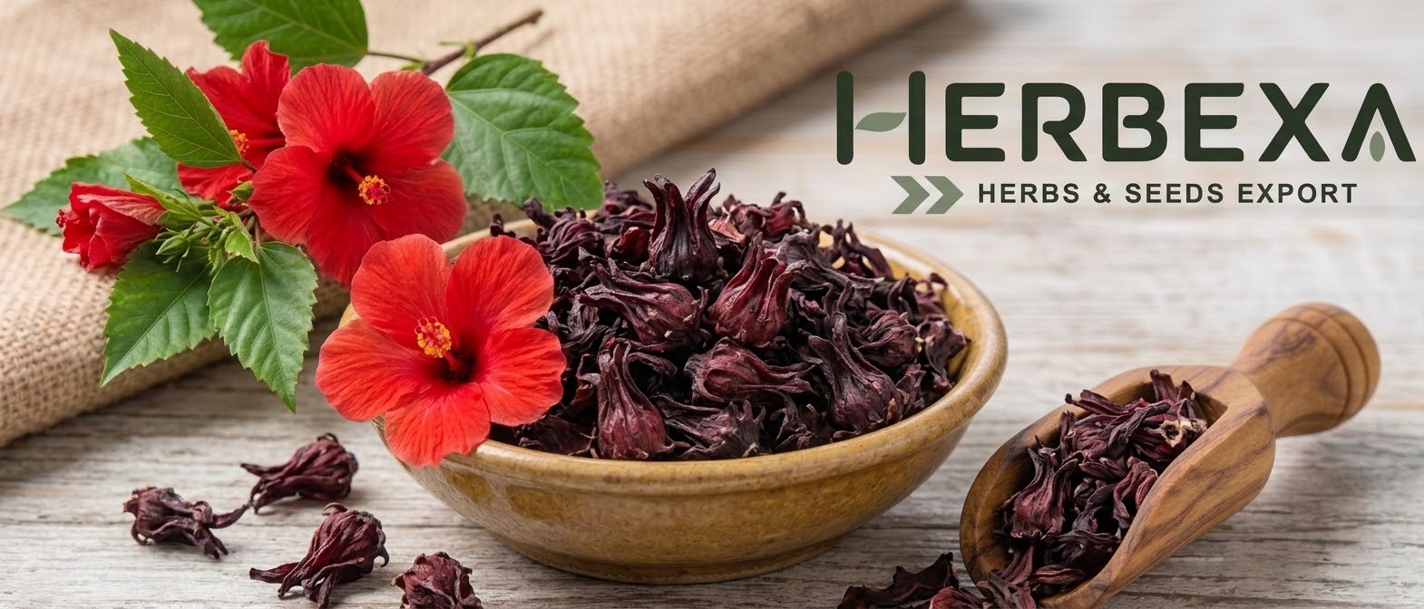 Hibiscus