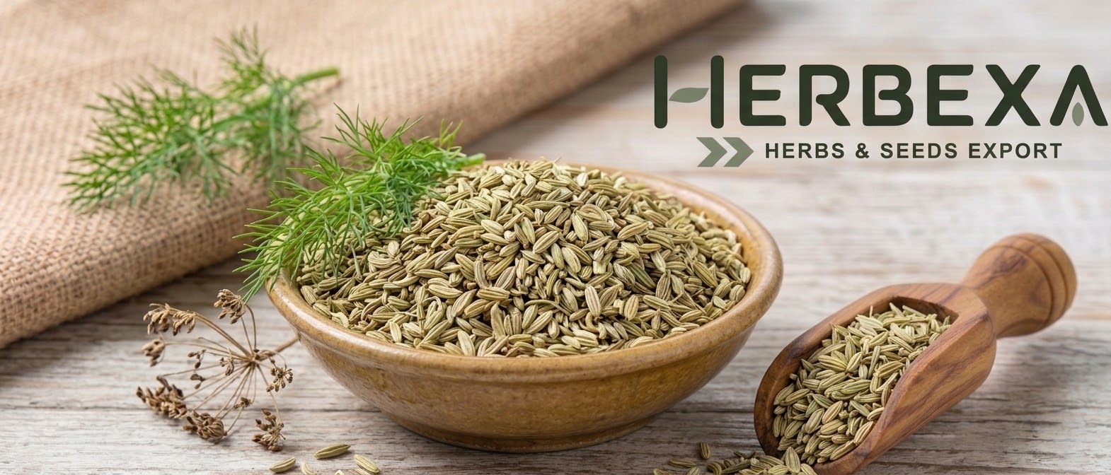 Fennel Seeds