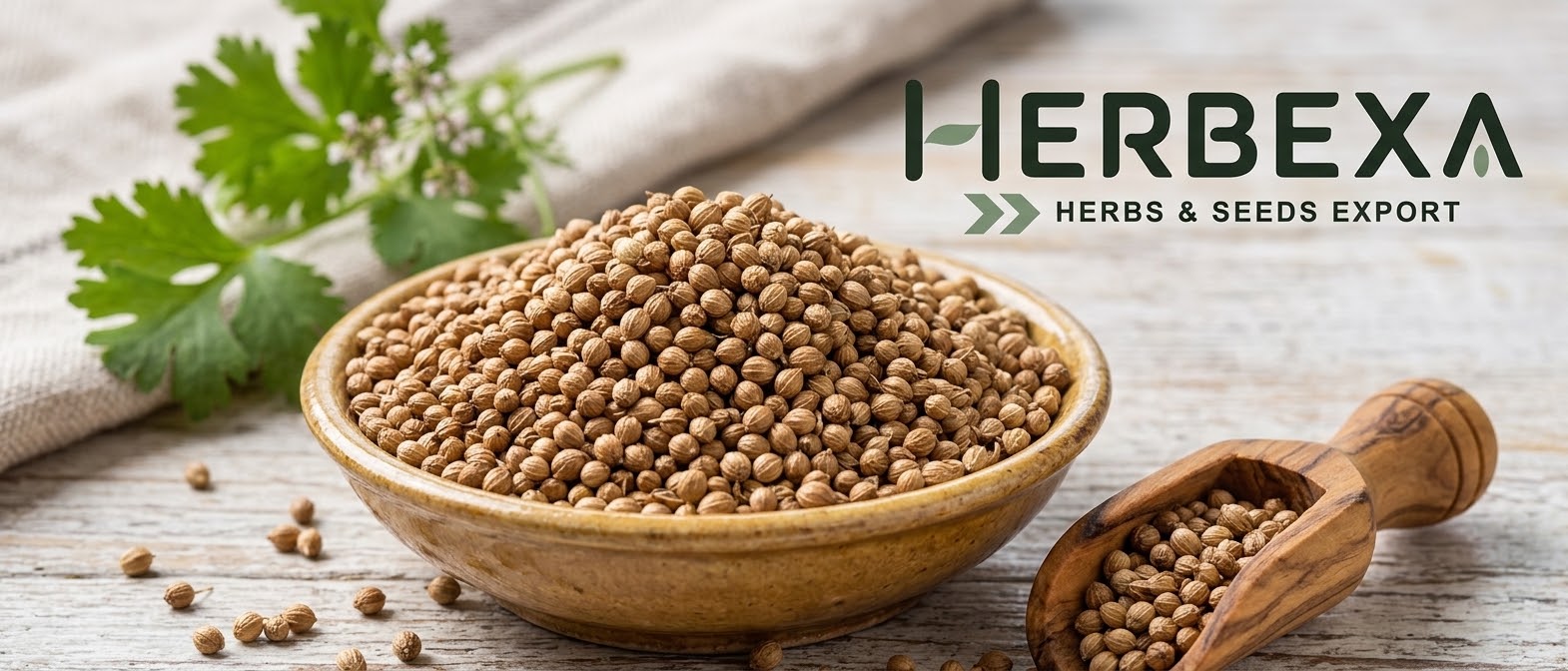 Coriander Seeds