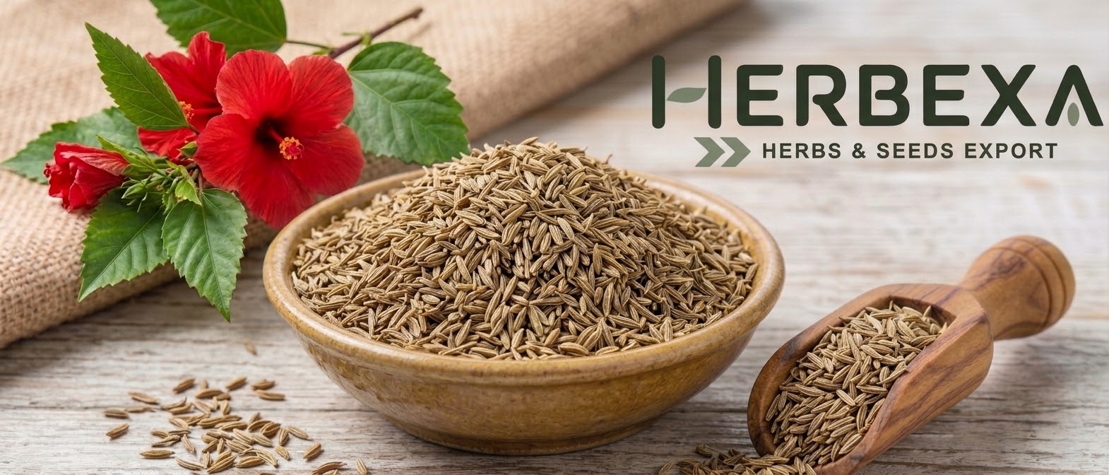 Cumin Seeds