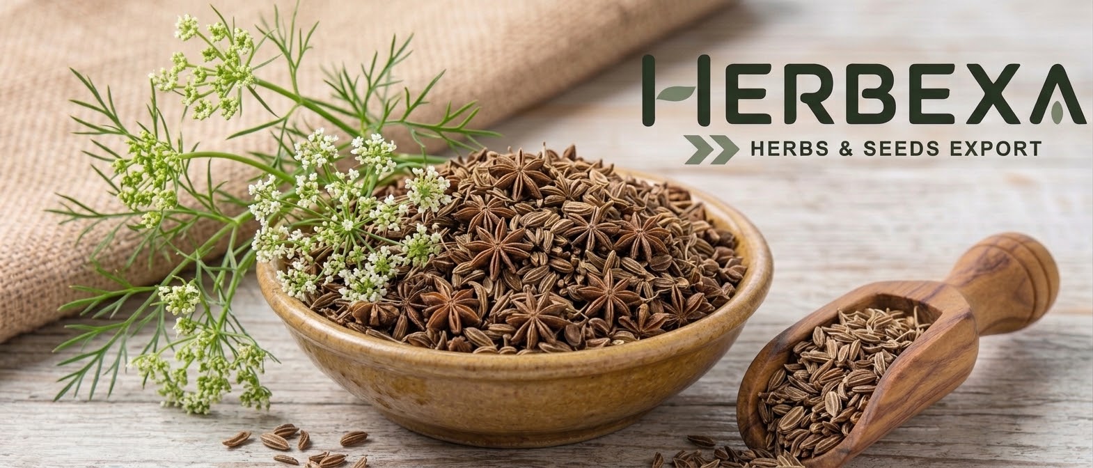 Anise Seeds