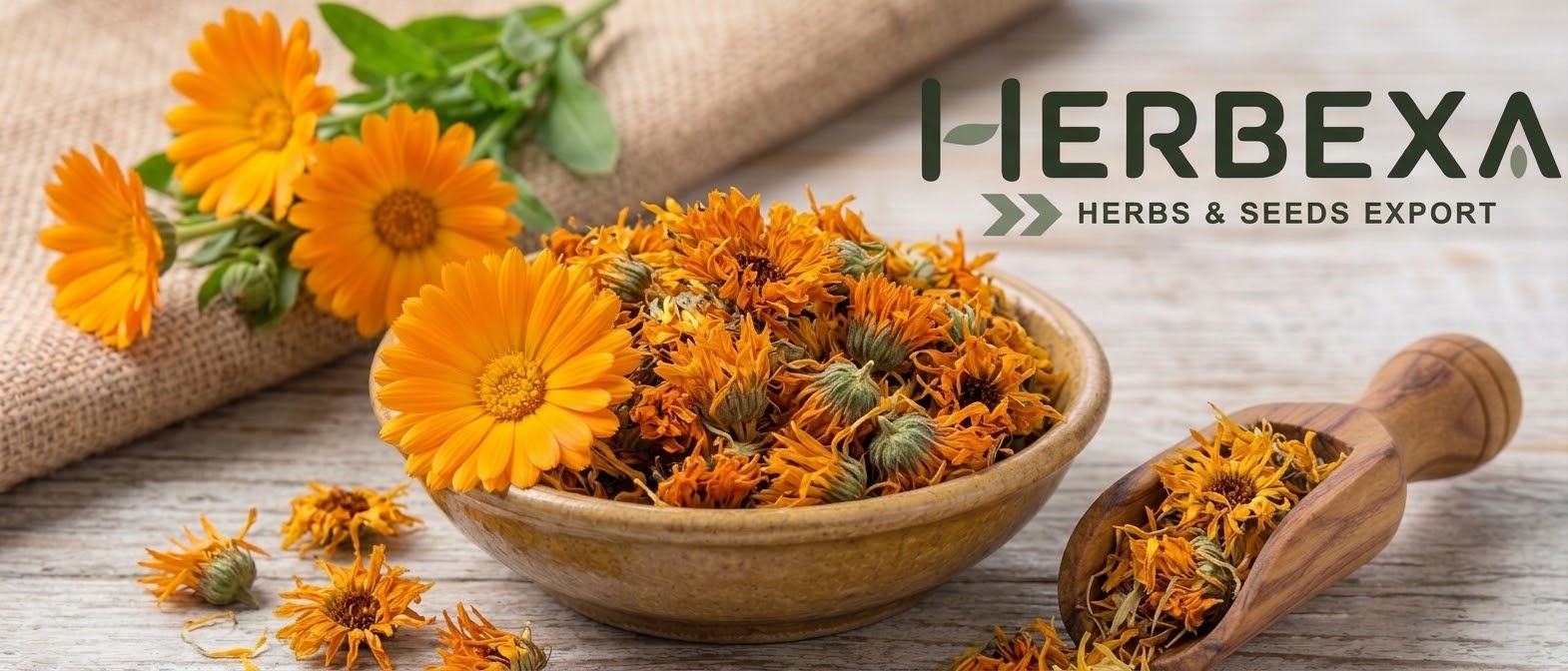 Calendula Flowers