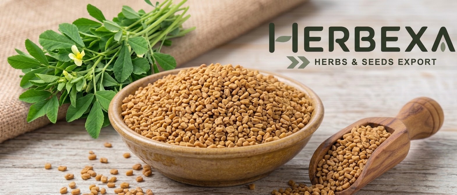 Fenugreek Seeds